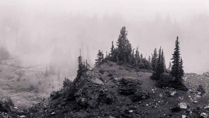 Foggy Alpine Landscapes, Mt Rainier National Park, Washington, 2014