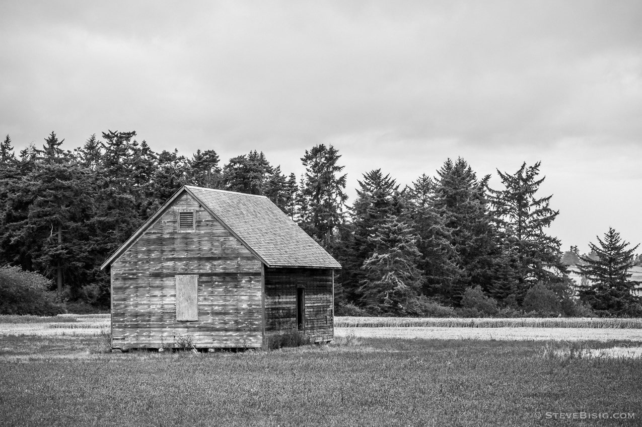 A black and white photograph of an old farm shed along Hill Road on Whidbey Island near Coupeville, Washington.