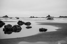 tidal pools olympic national park tidal pools olympic national park