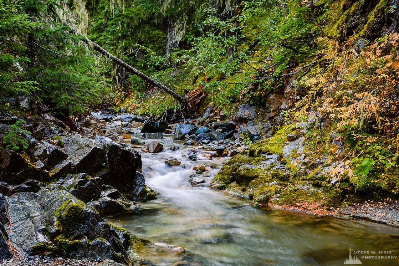 Copper Creek Canyon, Washington, 2016