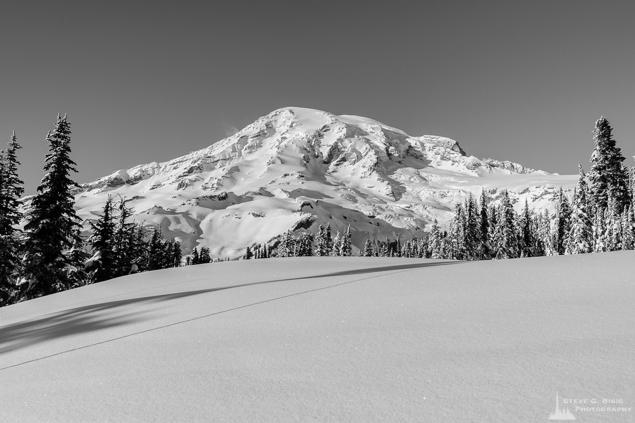 Snow Covered Meadows, Paradise, Mount Rainier, Washington, 2017