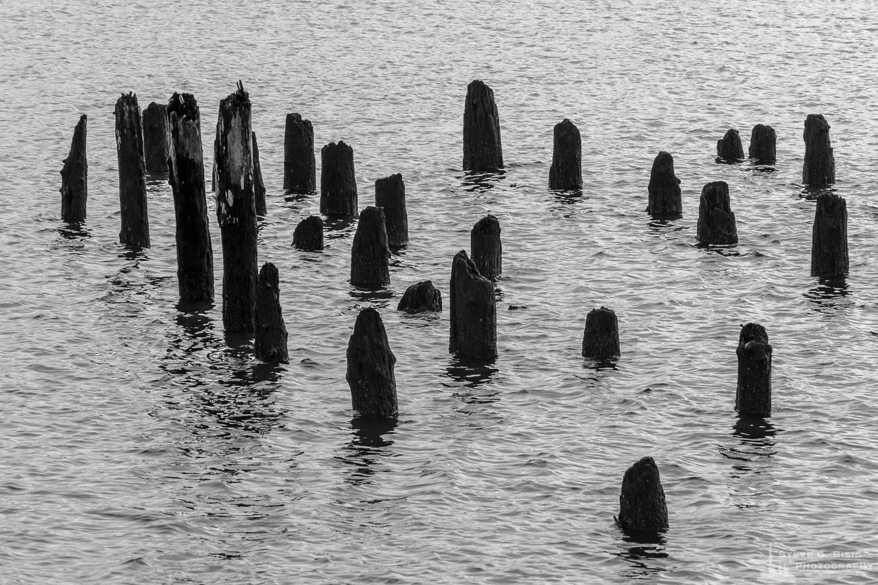 Pilings, Hoquiam, Washington, Winter 2017 Steve G.Bisig Photography