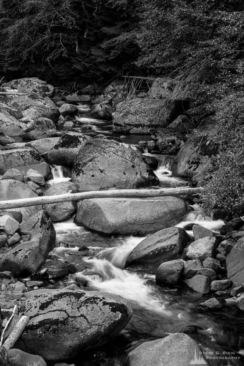 A black and white nature landscape photograph of a small forest creek in the Gifford Pinchot National Forest, Washington.