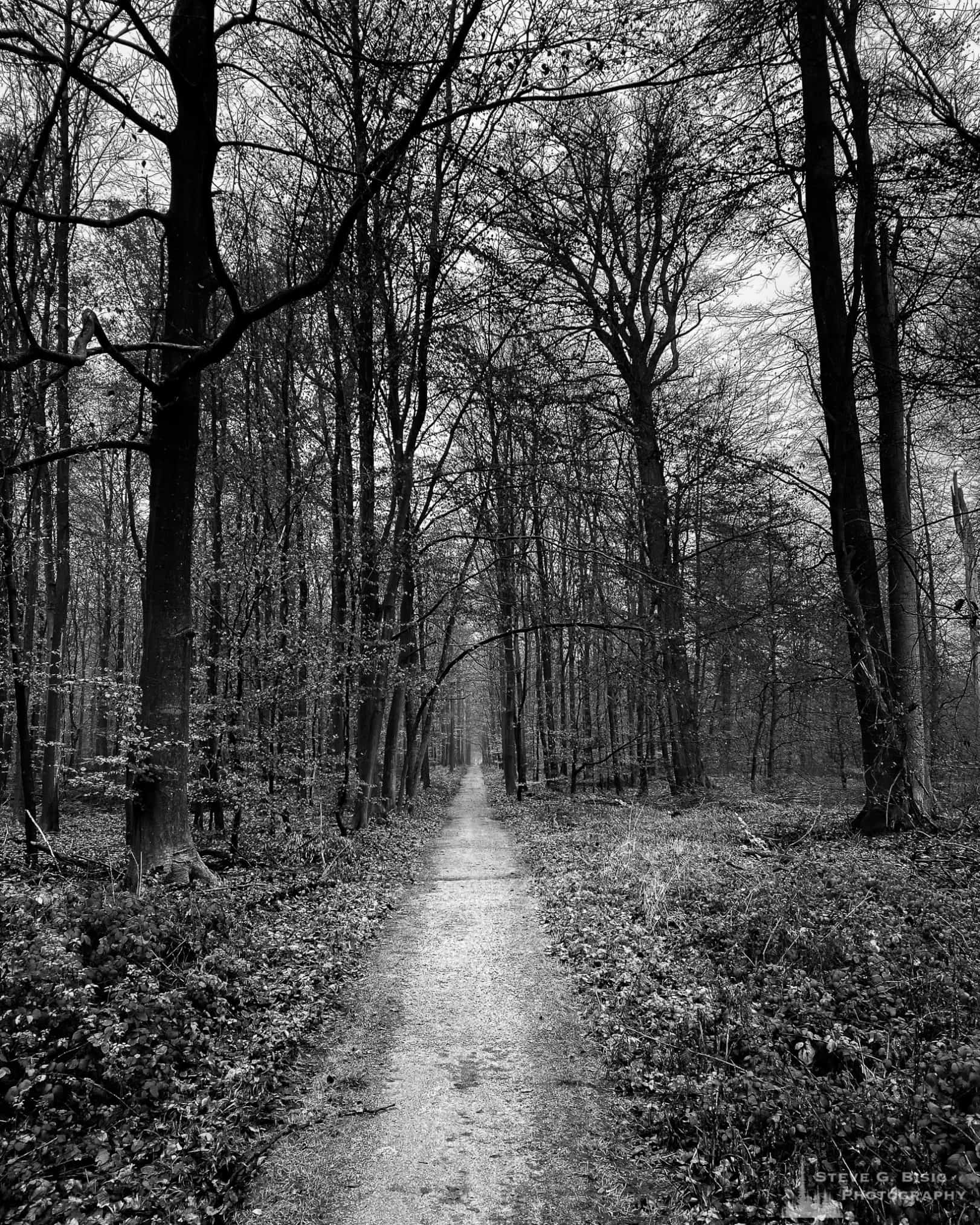 One of a series of 64 images captured on an iPhone 11 Pro Max while on a trip to Belgium in December 2019.