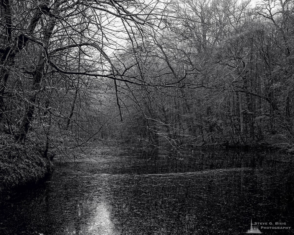 A black and white landscape photograph of a small forest lake captured on a late Autumn walk through the Sonian Forest of Belgium.