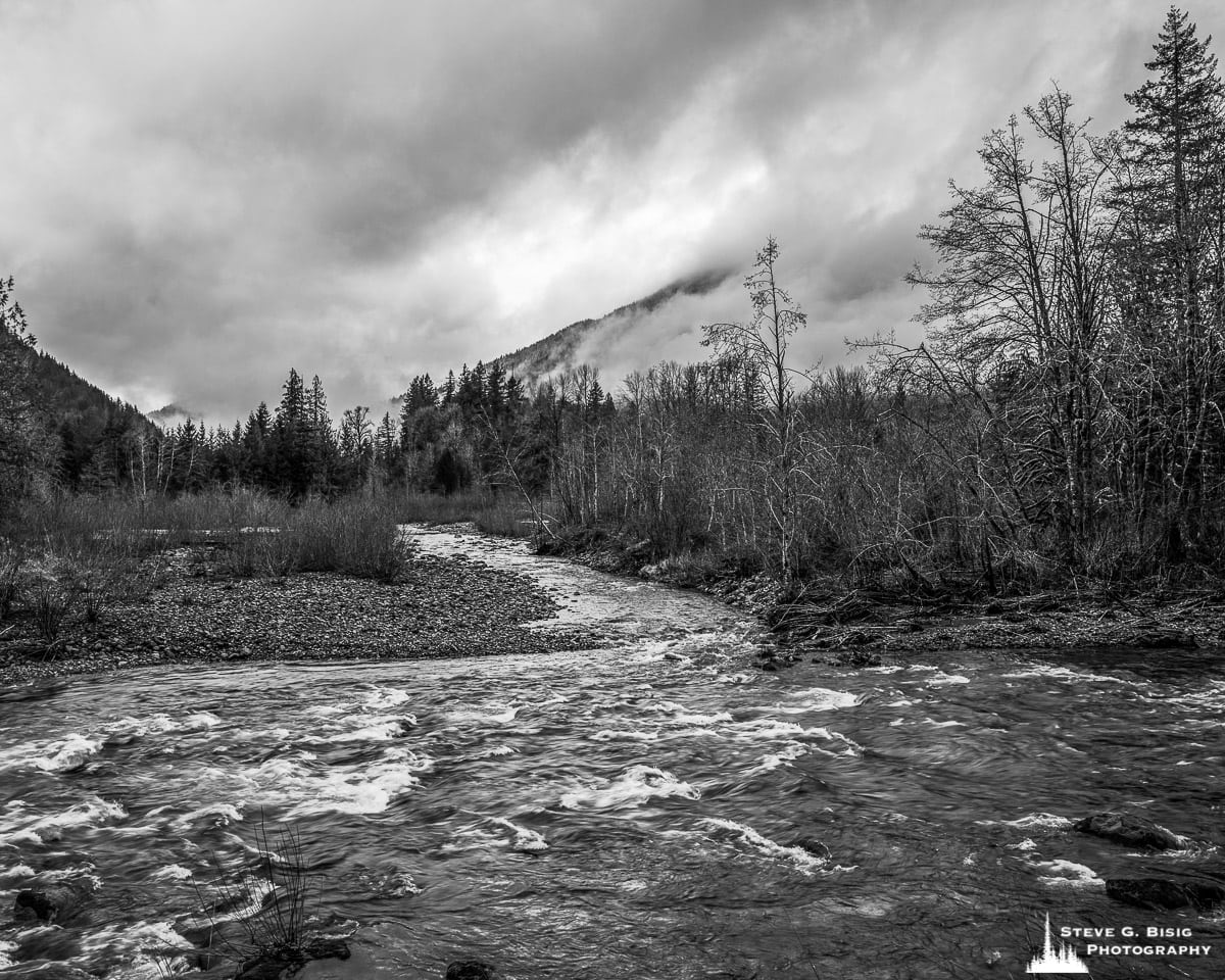 North Fork Tilton River Valley, Washington, 2020 Steve G.Bisig