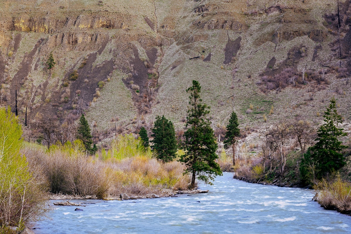 The Return of Spring, Tieton River, Washington, 2022 Steve G.Bisig