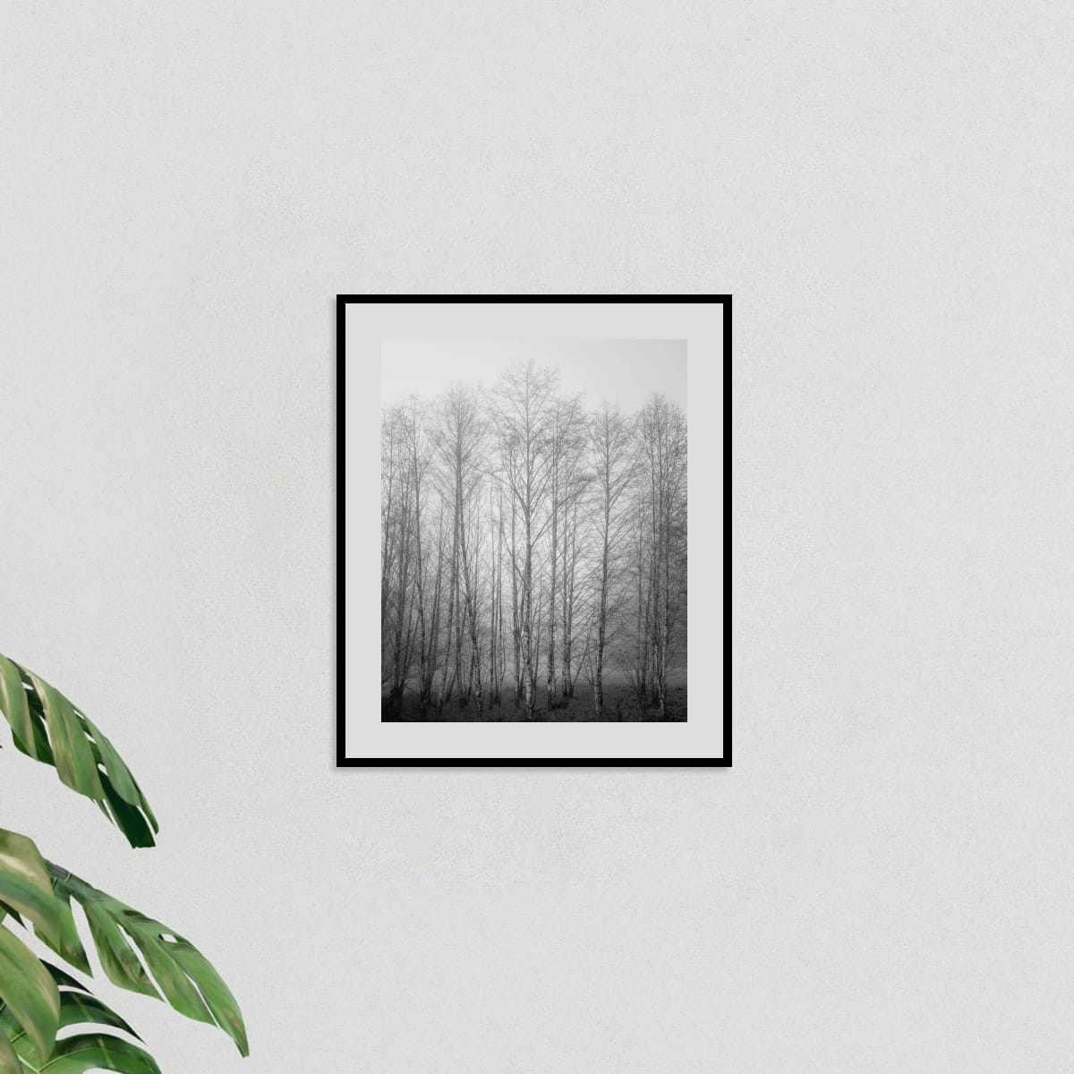 Pictured // Autumn’s Final Whisper, Willapa Valley, Washington