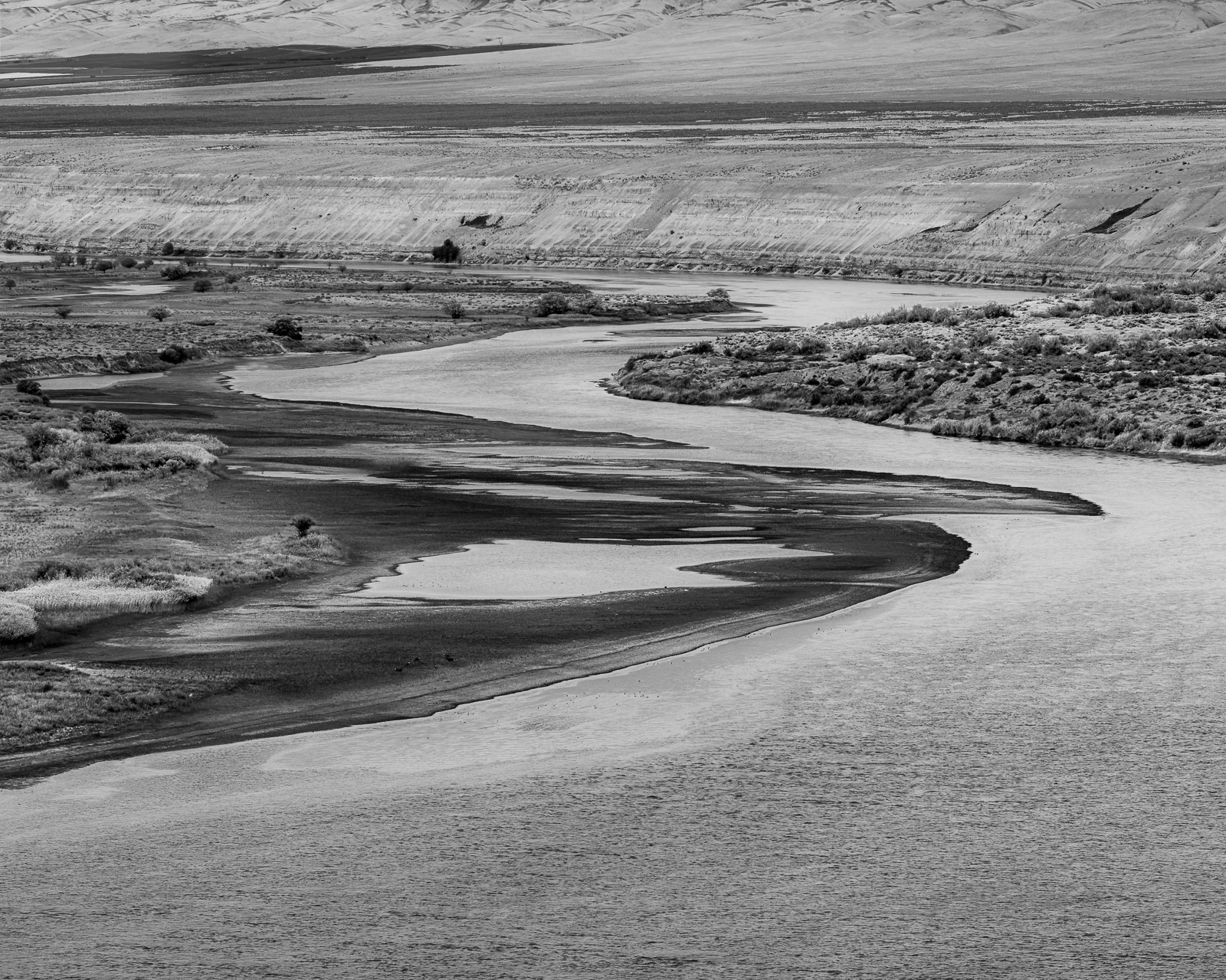 Braided shoreline channels and dark sandbars trace the edge of the Columbia River below the White Bluffs.