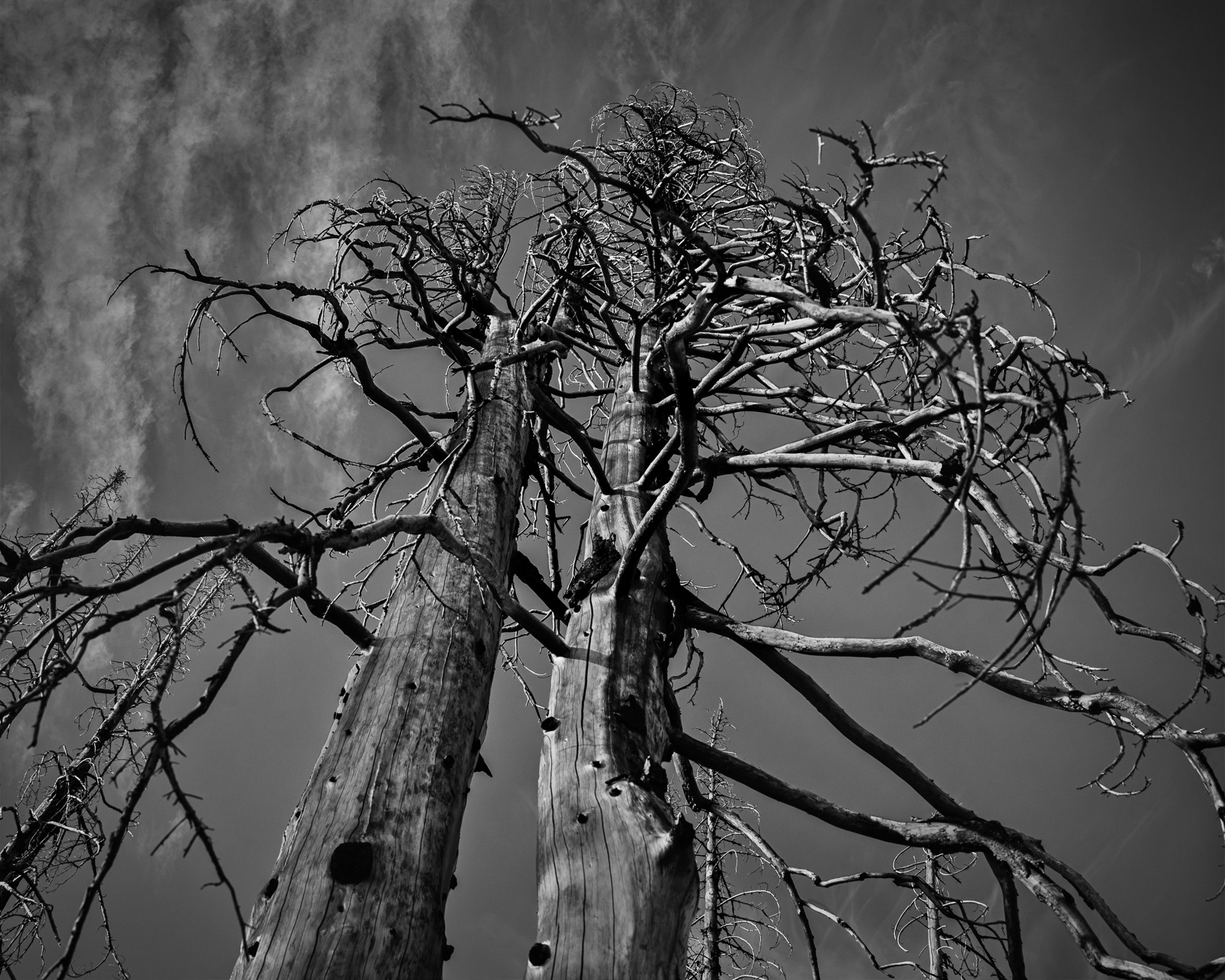 Weathered Crown, Corral Pass, Washington