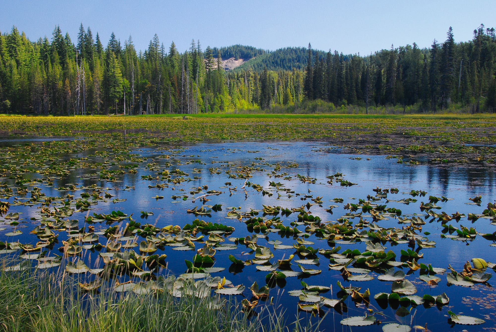 South Prairie Lake, Skamania County, Washington, 2007 Steve G.Bisig